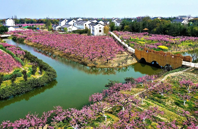 上海首批市级乡村振兴示范村-奉贤区吴房村村庄规划（2017-2035）