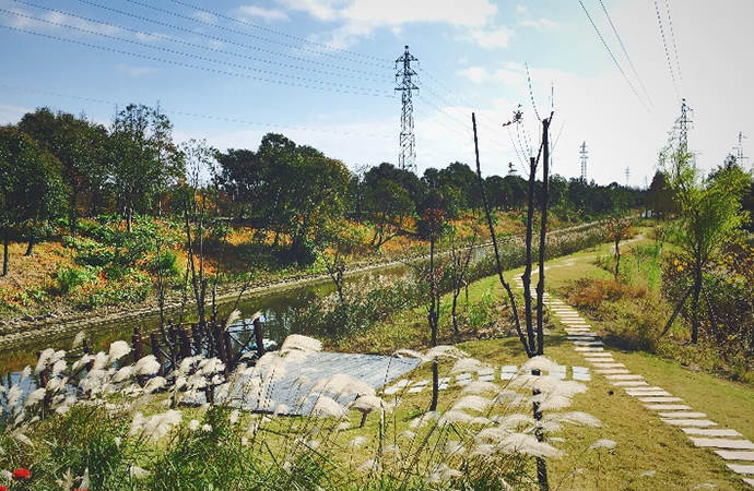 上海崇明区长兴岛郊野公园土地整治全流程服务